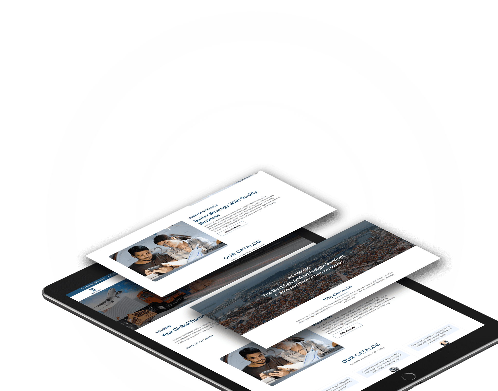 Softex Website slide