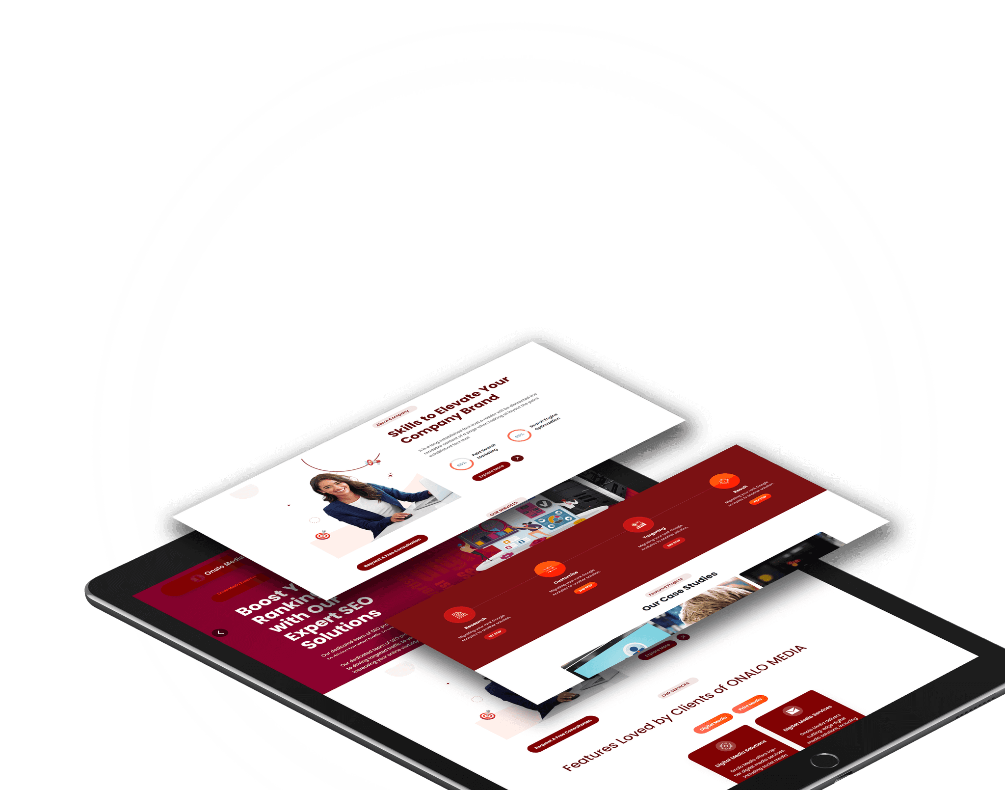 Softex Website slide