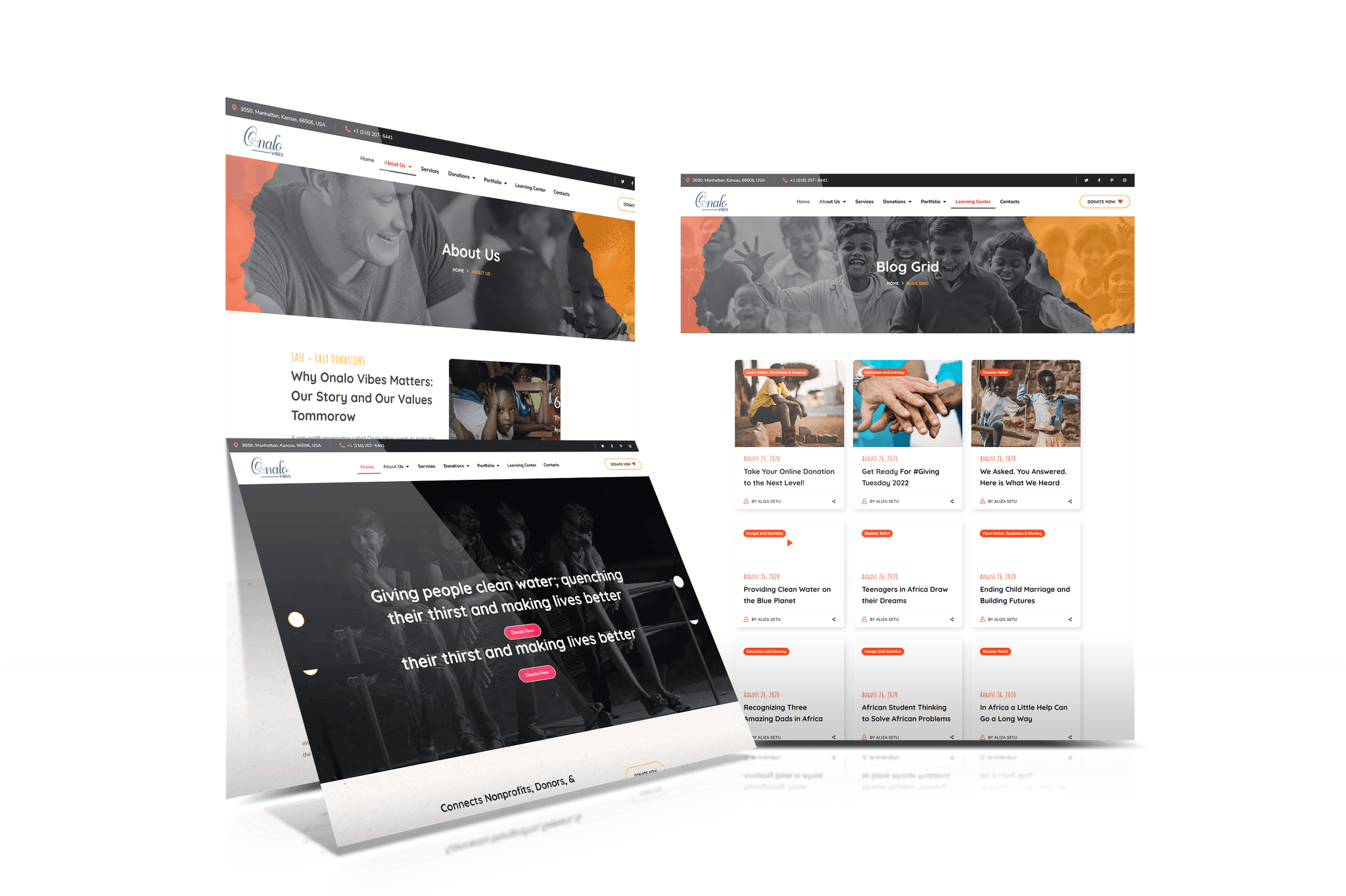 Softex Website slide