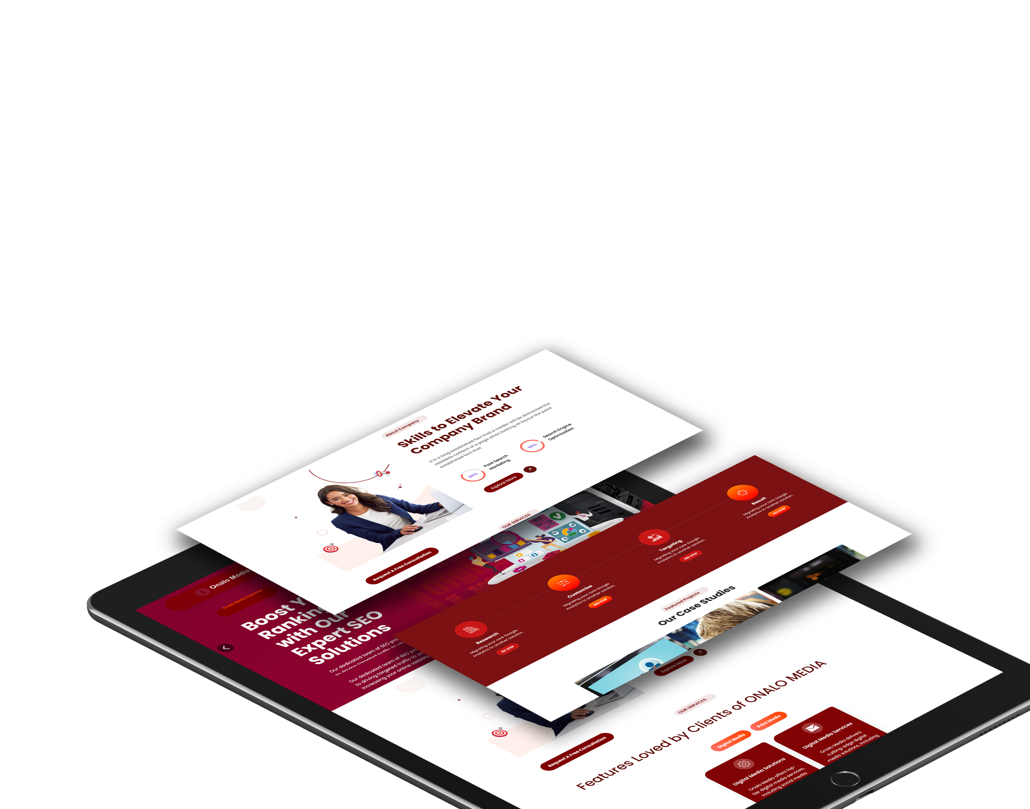 Softex Website slide